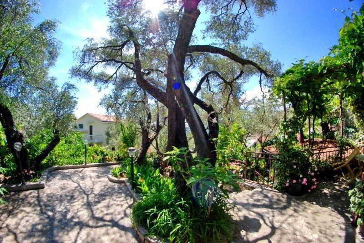 Guest House Elena Sveti Stefan Extérieur photo